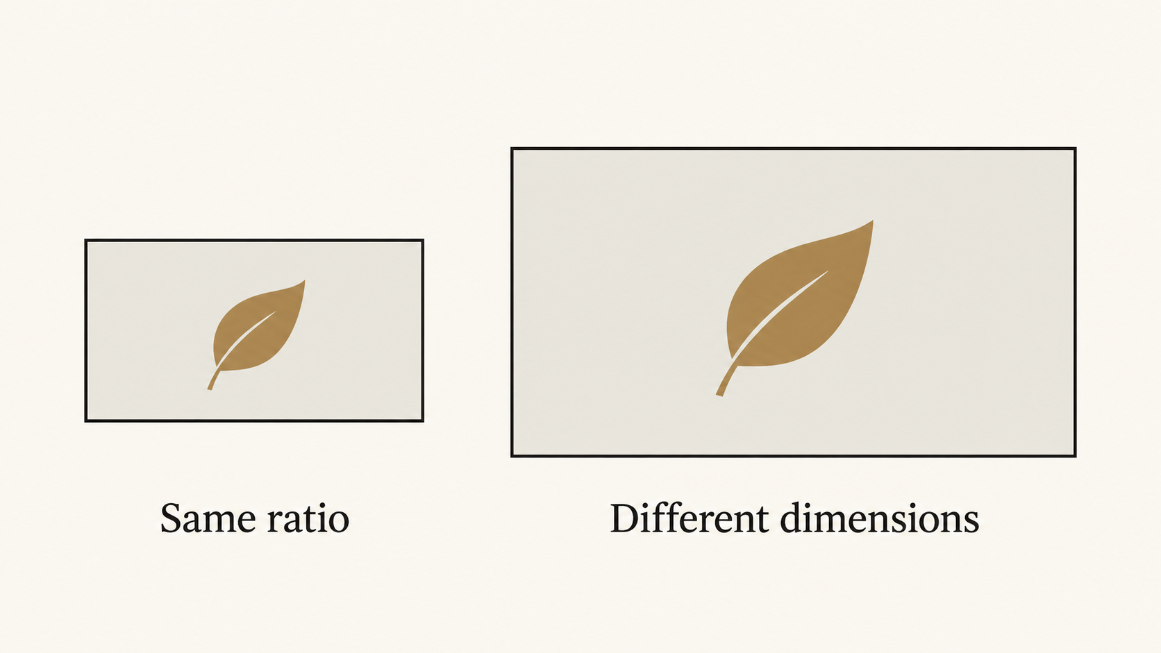 The same proportions can have different pixel dimensions
